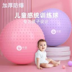 瑜伽球健身平衡訓練球65cm成人孕婦加厚防爆抗壓瑜伽器材 歷史價格詳細信息