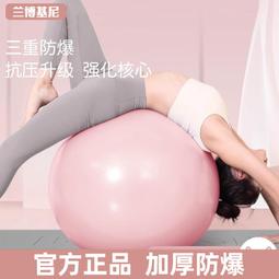 瑜伽滾背球氣球加厚防爆大龍球兒童感覺統合訓練孕婦專用助產按摩健身 歷史價格詳細信息