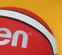 尼莫體育TOALSON 羽球線 ION65神線級全方位性能滿分球線 高彈性球感、控球佳、耐用 0.65mm 歷史價格詳細信息