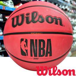 Wilton 兩用烘焙紙擠花袋100入 歷史價格詳細信息