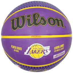 WILSON NBA 6顆裝球袋 黑, OS 歷史價格詳細信息