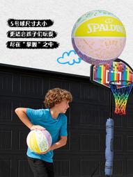 籃球籃球兒童5號幼兒園專用學生訓練3-4-7號小孩男女運動藍球皮球男生 免運 歷史價格詳細信息