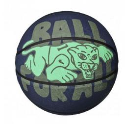 NIKE PLAYGROUND KD 7號籃球 N100711241907 【樂買網】 歷史價格詳細信息