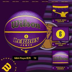 【正品特賣】韋伯羽毛球單雙肩背苞 2支裝羽毛球拍袋苞 男女 旅行運動健身苞 運動背苞 歷史價格詳細信息