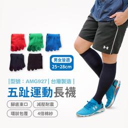 【台灣現貨】五指運動長襪【1雙】運動襪/棒球襪/壘球襪/足球襪/五趾襪/排汗/型號:AMG927【FAV】 價格比較,價格查詢,歷史價格詳細信息