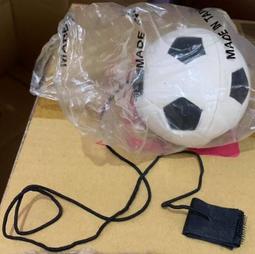 寵物球 寵物玩具球 足球 寵物玩具 寵物用品 寵物球 毛小孩 貓咪 狗狗 玩具 毛球 飛碟 寵物 玩具球 球球 小足球 歷史價格詳細信息