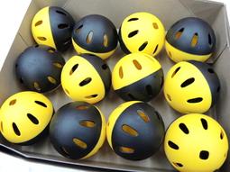 【BRETT 訓練球】BB-P6 打擊訓練空心洞洞球(12顆入) #9吋球 #打擊 #訓練 歷史價格詳細信息