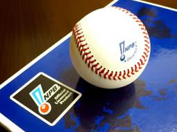 美津濃 日本職棒 阪神虎 冠軍 棒球衣 歷史價格詳細信息