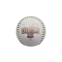 日本 燕子筆記本 TSUBAME A6高級紙橫格筆記本-72枚入(N6003) 東大筆記本 歷史價格詳細信息