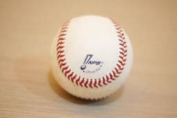 全新日本職棒 歐力士猛牛隊 張奕所屬隊 （電繡球衣+外套）一組 歷史價格詳細信息