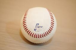 全新日本職棒 歐力士猛牛隊 張奕所屬隊 （電繡球衣+外套）一組 歷史價格詳細信息