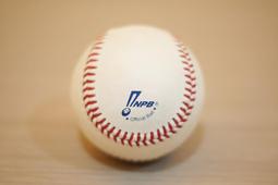 全新日本職棒羅德隊球員版棒球帽 歷史價格詳細信息