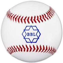 貳拾肆棒球--日本帶回！東京迪士尼disney 40週年紀念園區限定販售列車TAKARATOMY トミカ 歷史價格詳細信息