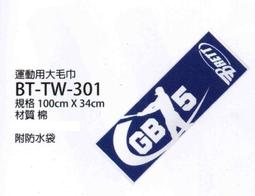 BRETT 布瑞特大型後背式裝備袋 可插4支球棒 SD-00052 歷史價格詳細信息