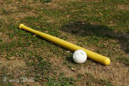 ＊超威教您分辨威浮球真偽＊(東森&amp;民視新聞台專訪)＊超威威浮球＊Wiffle Ball 黃色球棒$275元 價格比較,價格查詢,歷史價格詳細信息