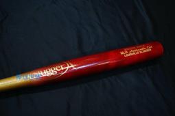 棒球世界最新原裝進口ZETT BCT76110少年用軟式FRP碳纖鋁棒,高彈性纖維特價80CM 歷史價格詳細信息