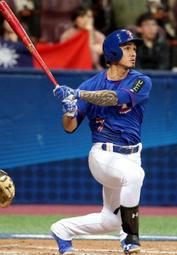 【MLB】大聯盟5-6人自動秒開帳篷-NYY洋基(K-56NYY) 歷史價格詳細信息