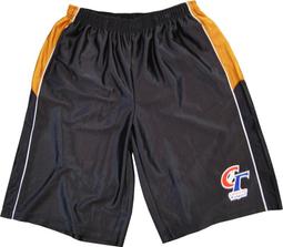 CT 中華台北隊厚棉連帽T恤 CT-CW-301/02 歷史價格詳細信息