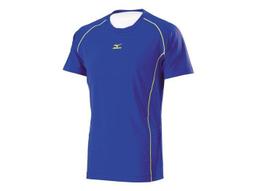 棒球世界全新 Mizuno美津濃 17年 打擊手套 (1ETEA70701) 特價一(支)有分左右手 歷史價格詳細信息