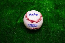 棒球世界全新RAWLINGS 羅林斯日本進口棒球壘球置球筒 特價黑色RJBBBUCK6G6PK 歷史價格詳細信息