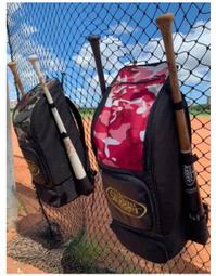 棒球世界全新LS頂級職業用楓木棒球棒特價職業選手專用支給林書逸 歷史價格詳細信息