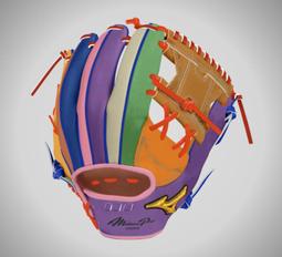 貳拾肆棒球--軟硬式在手套購買上的迷思 歷史價格詳細信息