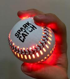 全新,世博 台灣館 EXPO 2010 厚墊筆電後背包,肩背包,電腦包 /15-17吋 筆電適用 歷史價格詳細信息