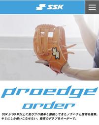 貳拾肆棒球--軟硬式在手套購買上的迷思 歷史價格詳細信息