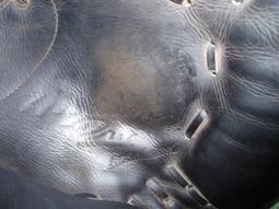 貳拾肆棒球--日本帶回Mizuno pro 日職契約選手用運動外套/日製/L 歷史價格詳細信息