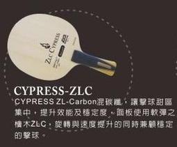 【Double day #DD】開學季專案優惠套拍（進階拍）/號角響起（王浩結構）高級純木拍 (加貼皮+拍袋) 一組 歷史價格詳細信息