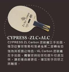 【Double day #DD】開學季專案優惠套拍（進階拍）/號角響起（王浩結構）高級純木拍 (加貼皮+拍袋) 一組 歷史價格詳細信息