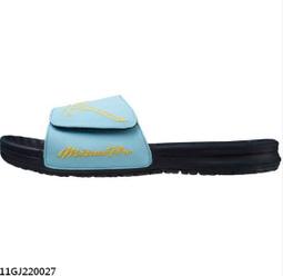 棒球世界 全新Pro energy偏光組 付備片特價 歷史價格詳細信息