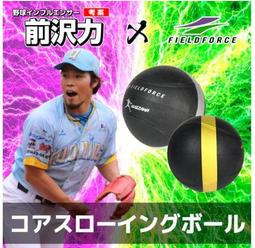 棒球世界FIELDFORCE-新款棒球手套保型收納袋(捕手、一壘手用通用)深藍特價FMHC-1001 歷史價格詳細信息