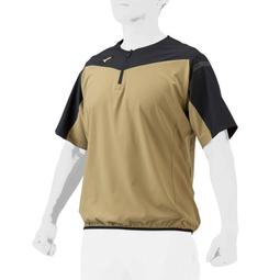 棒球世界全新 MIZUNO 美津濃 PRO 16年下半季 PRO 托特包 【1FJD6900列兩色 】特價 歷史價格詳細信息