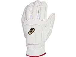 ~日本進口 asics 亞瑟士 ~ 即戰力款 快壘 快速壘球 捕手手套 一壘手手套《BGSGBC-90》~現貨上市 歷史價格詳細信息