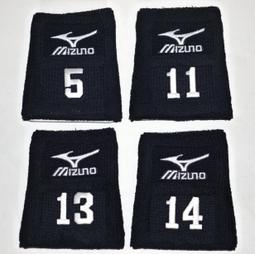 火鳥 一代巨星 高凌風的生命最重要演講 全紀錄光碟 CD專輯 二手 E09 歷史價格詳細信息