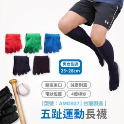 【FAV】五趾長襪【5雙】長筒襪/棒球襪/足球襪/厚底/五趾襪/排汗/五指襪/台灣製/型號:AMG927 歷史價格詳細信息
