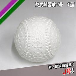 正聯球鞋清潔劑 Reebok Pump X AAPE A Bathing Ape 迷彩 洗鞋參考 代客洗鞋服務 歷史價格詳細信息