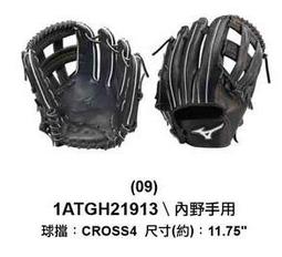 正翰棒壘---Mizuno 棒壘球手套 1AJGR26623 歷史價格詳細信息