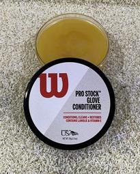 = 球友 運動用品 = WILSON A450 少年兒童手套 井字型 (反手)  WBW10017712 歷史價格詳細信息