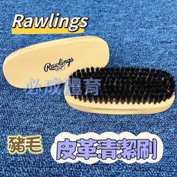 毛球清除刷 刮毛刷 兩用 刮毛器 黏毛器 除毛器 雙面去毛器 雙面刮毛器 萬用刮毛器 萬用雙面刮毛器 雙面兩用刮毛刷 歷史價格詳細信息