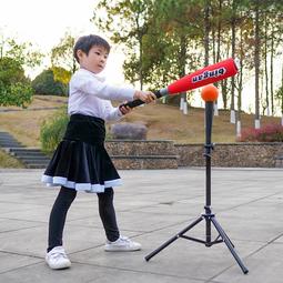 壘球手套兒童棒球套裝棒球全套裝備棒球手套棒壘球訓練器t座比賽專用軟式 歷史價格詳細信息