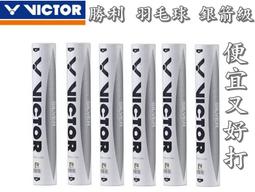 大自在 含稅附發票 勝利 VICTOR 羽毛球拍 拍袋 三支裝 羽球拍袋 單層袋 保護拍框 斜背型 A9-C3075R 歷史價格詳細信息