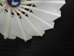 美普特MR.PUTTER秋高氣爽呼伴慢跑優惠促銷慢跑褲J-PANTS-060 歷史價格詳細信息