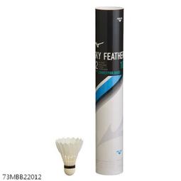 ◇ 羽球世家◇美津濃 羽球拖鞋 限量款 素色俐落外觀更顯帥氣 歷史價格詳細信息