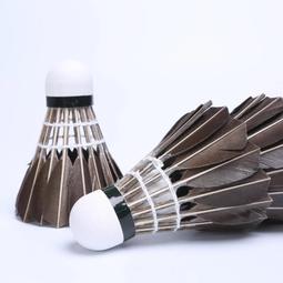 黑天鵝中布 Middie Blythe &ldquo;Odile &ndash; Magical Trickery and Lo&rdquo;  新品現貨 歷史價格詳細信息