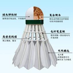 【正品特賣】韋伯羽毛球單雙肩背苞 2支裝羽毛球拍袋苞 男女 旅行運動健身苞 運動背苞 歷史價格詳細信息