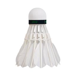 室內外專用磁震波+超音波強力驅鼠驅蟲機(一組) 歷史價格詳細信息