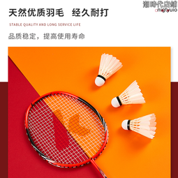 【好康】賽樂thera-band迷你瑜伽球加厚防爆健身球球普拉提小球 歷史價格詳細信息