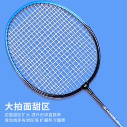 【好康】紅雙喜兒童羽毛球拍雙拍小學生耐用型羽毛球拍子成人親子裝套裝 歷史價格詳細信息